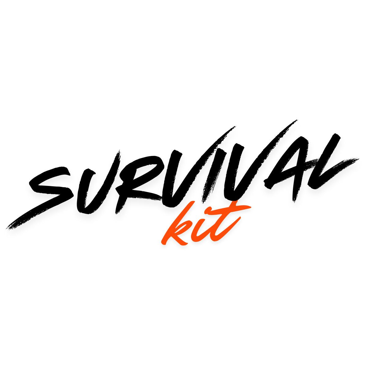 Festival Survival Kit